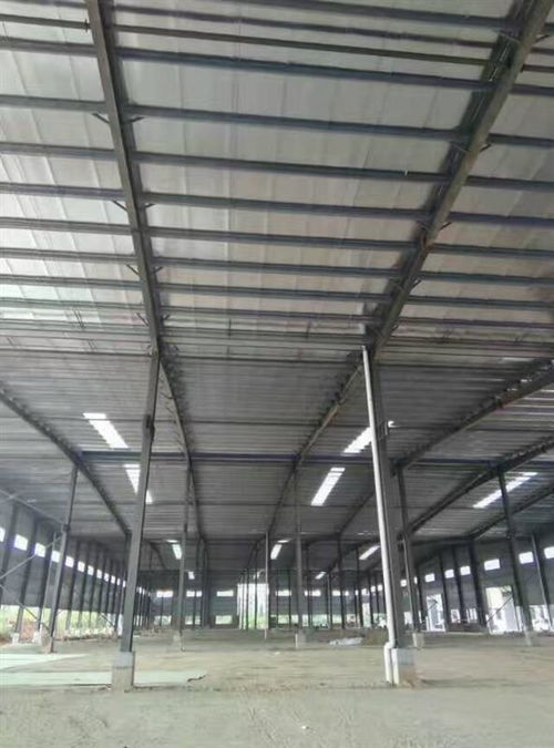 深圳市钢结构夹层结构安全检测鉴定单位技术咨询今日新闻报道